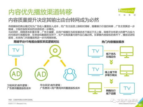 中國網絡自制內容行業研究報告